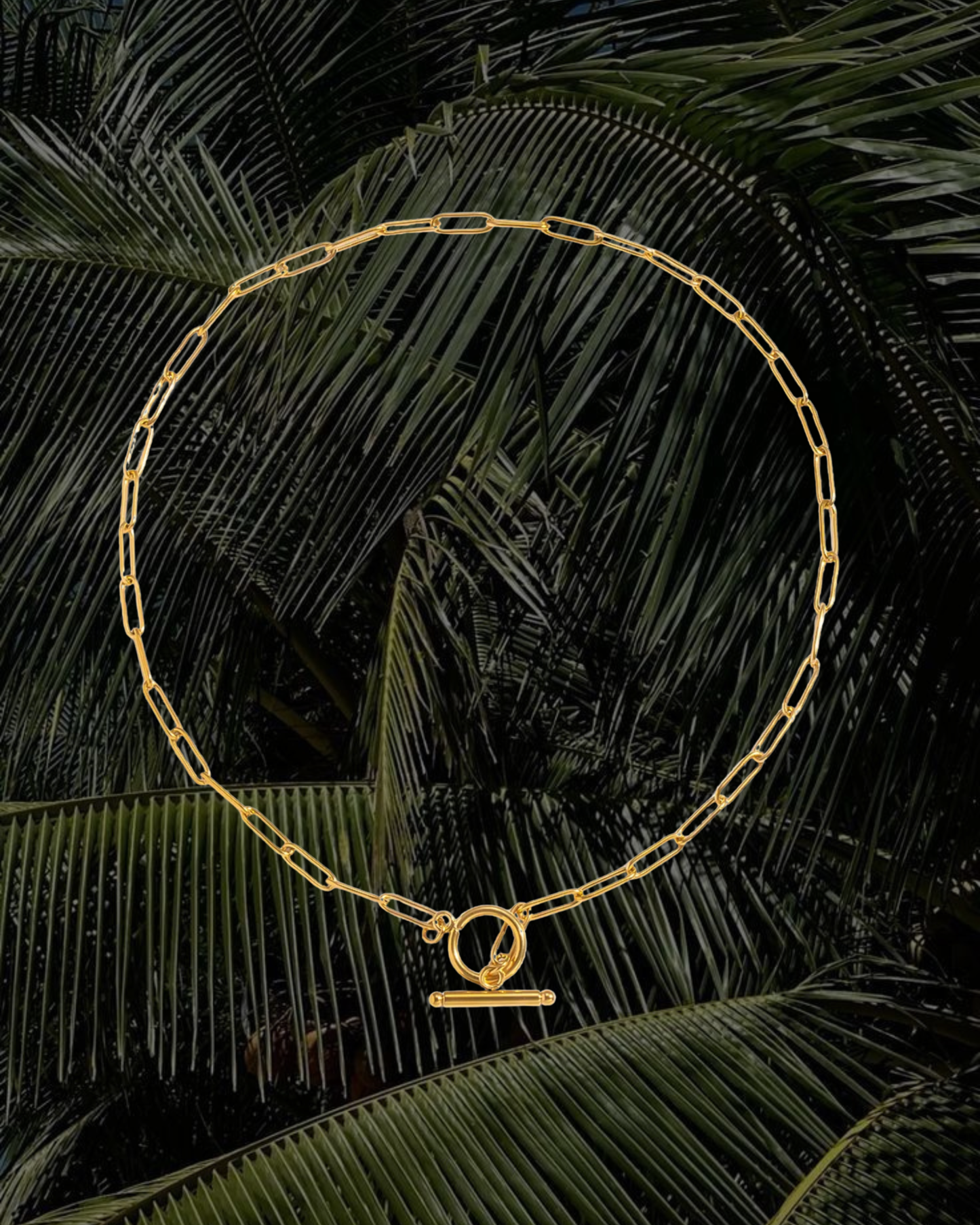 Paperclip Toggle Chain Necklace