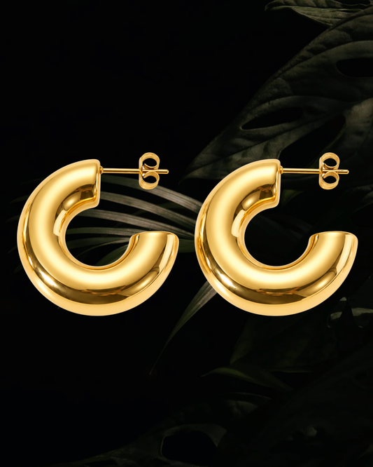 Lucia Hoops